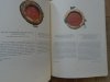 red. Mieczysław Rokosz • Orły nasze. Orzeł Biały w zbiorach Biblioteki Jagiellońskiej